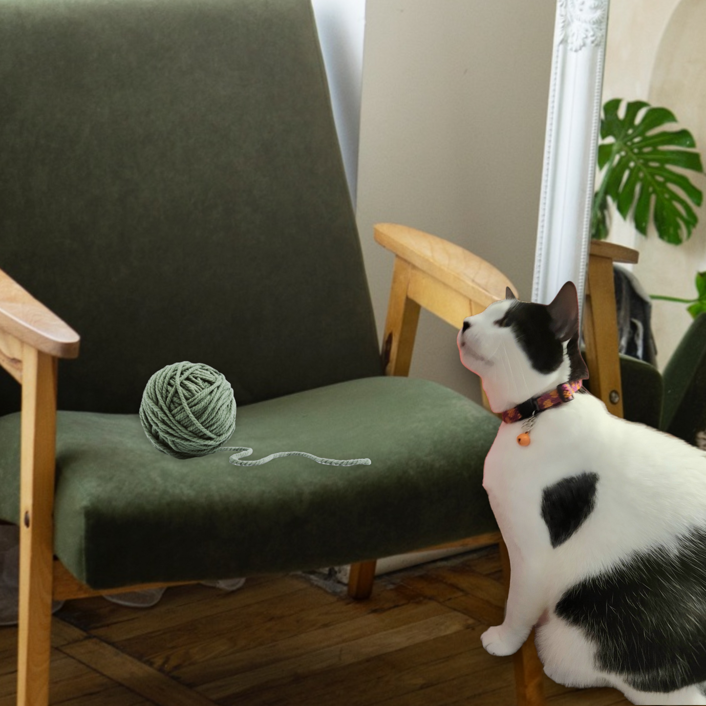 Designer Cat Collar: Woven Breakaway Cat Collars with Charm and Bell, Chevron braid design, Adjustable 8"-12"[20-30.5cm], Ideal for Girl Cats Male Cats, Kittens Puppies, Made with Soft Cotton, Wide variety of colors