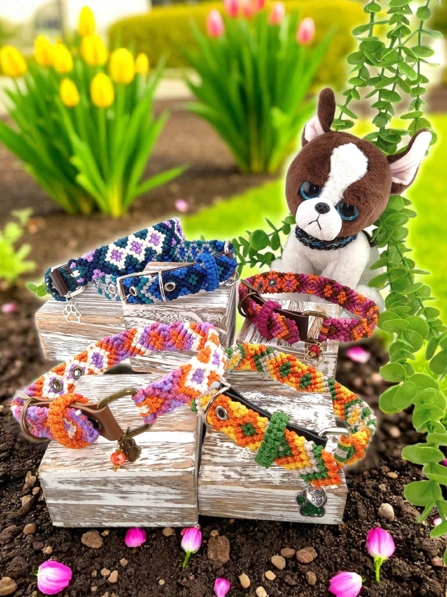 Designer Dog Collar, Unique Woven Dog Collar with Eco Leather, Ethnic Aztec design, Adjustable Small 12"-14" (30.5-35.5cm) neck size, Wide variety of colors Available